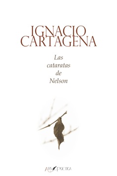 Las cataratas de Nelson Las cataratas de Nelson