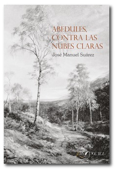 Abedules, contra las nubes claras