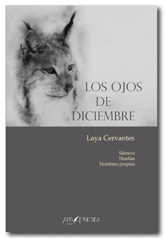 Los ojos de diciembre