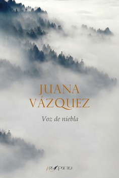 Voz de niebla