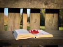 Nuevo número de Ágora-Papeles de Arte Gramático: nuevas voces de la poesía rumana